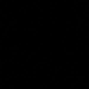 Meet your Posher, Twizere